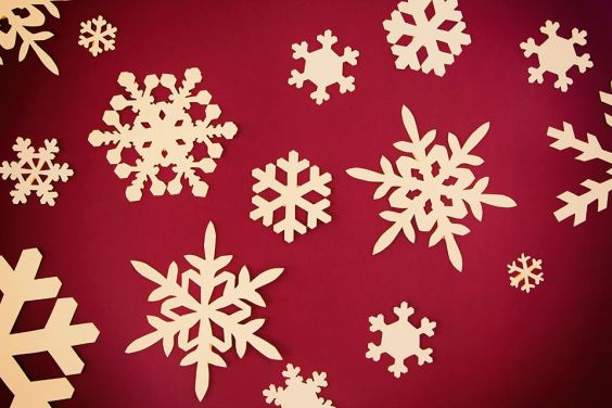 10884371_10204105947782246_658082643_n